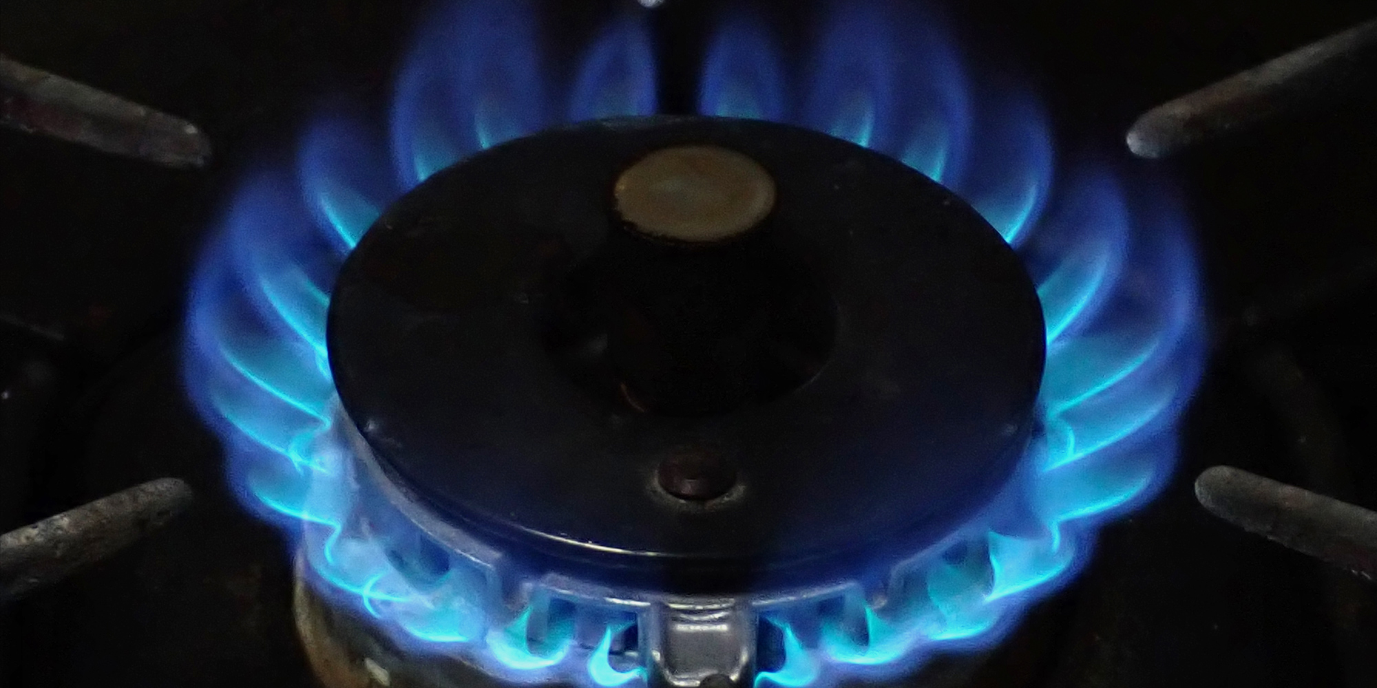 有限会社やまなか